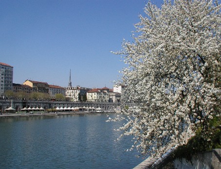 primavera